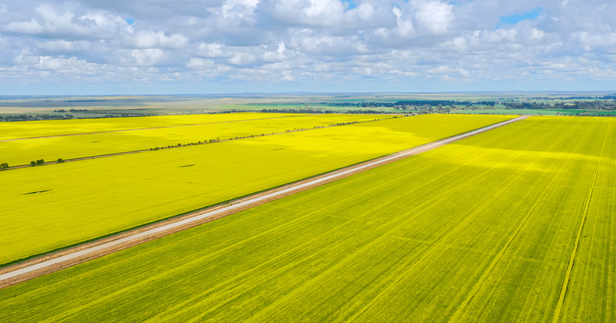 Epl Live Results Today