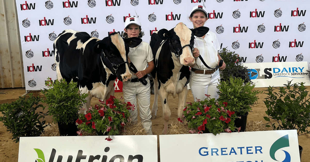 Epl Live Results Today